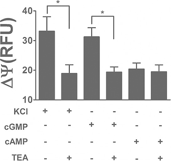 FIG 2