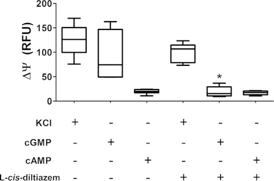 FIG 1