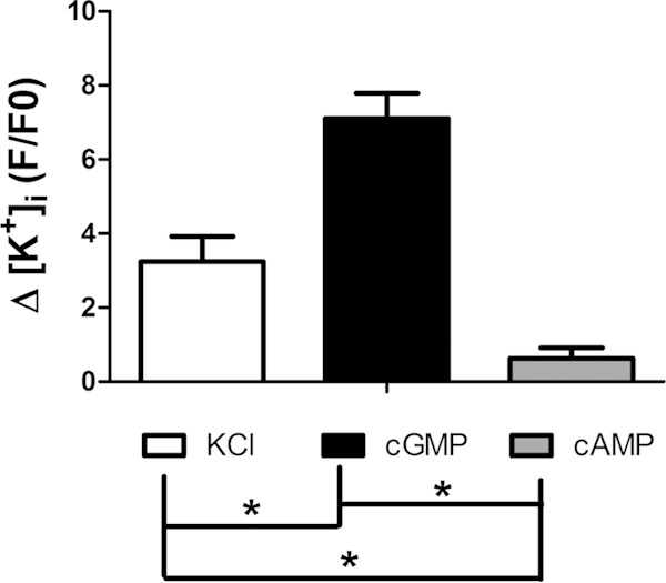 FIG 3