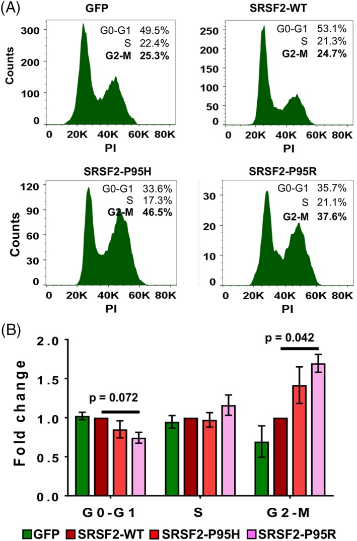 Figure 5