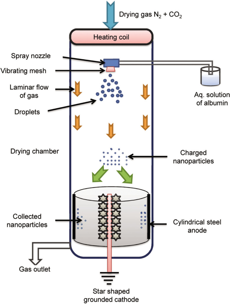 Figure 10