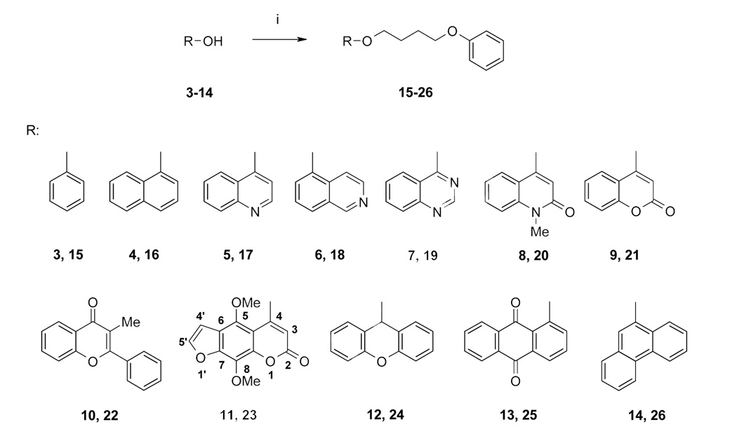 Scheme 2