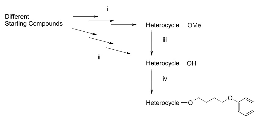 Scheme 1