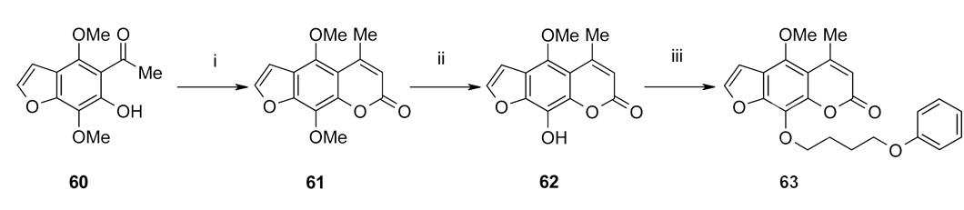 Scheme 7