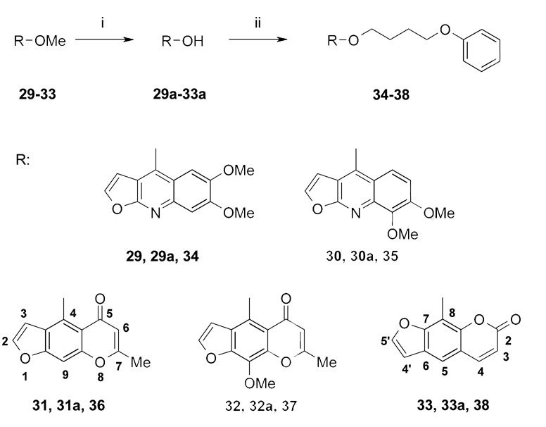 Scheme 4