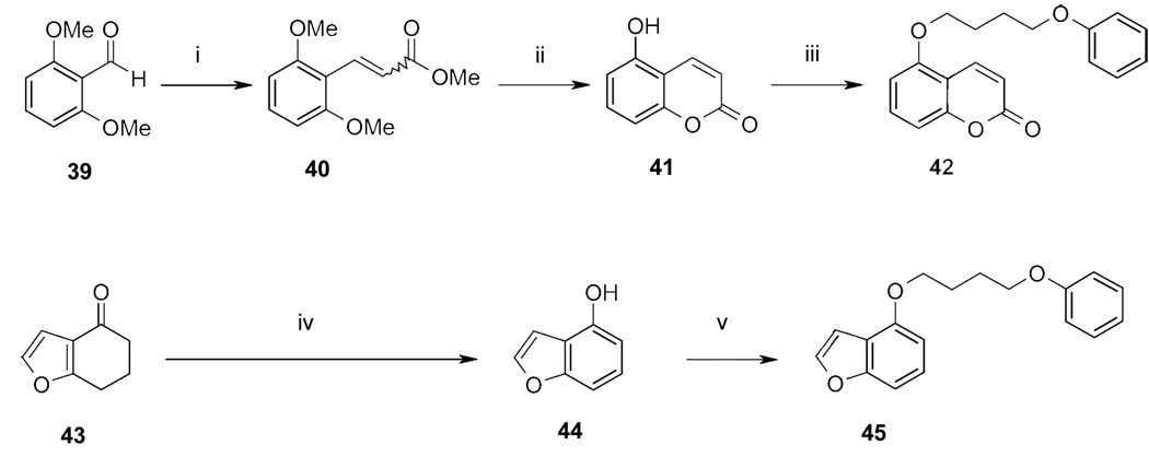 Scheme 5