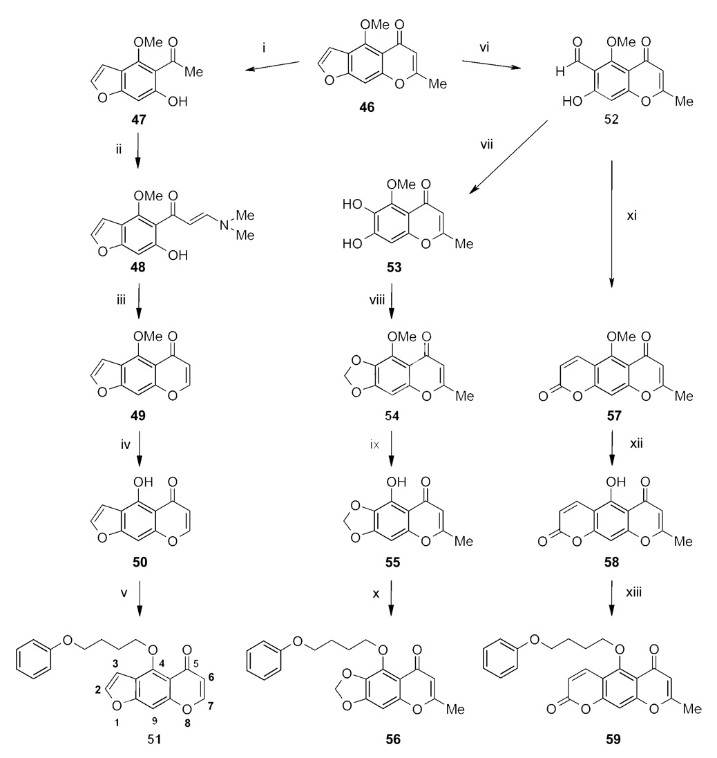 Scheme 6