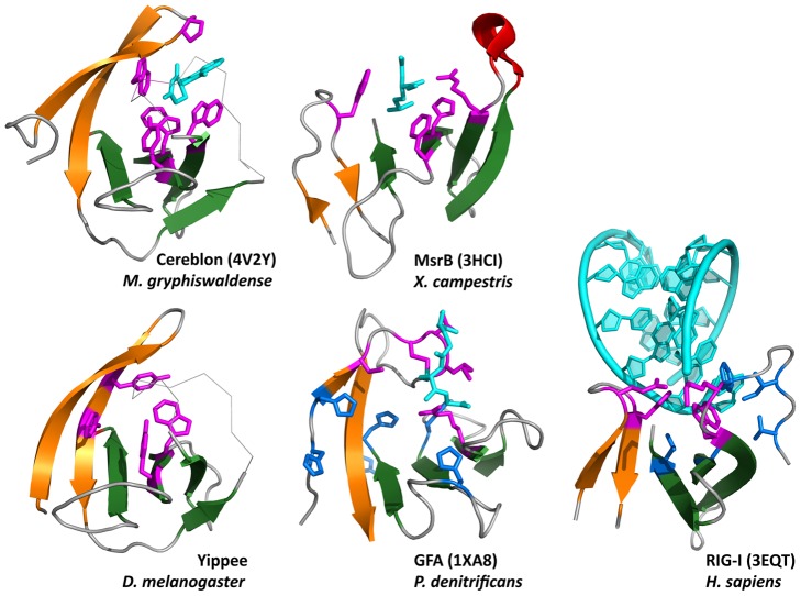 Figure 7