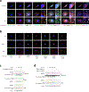 Extended Data Fig. 7