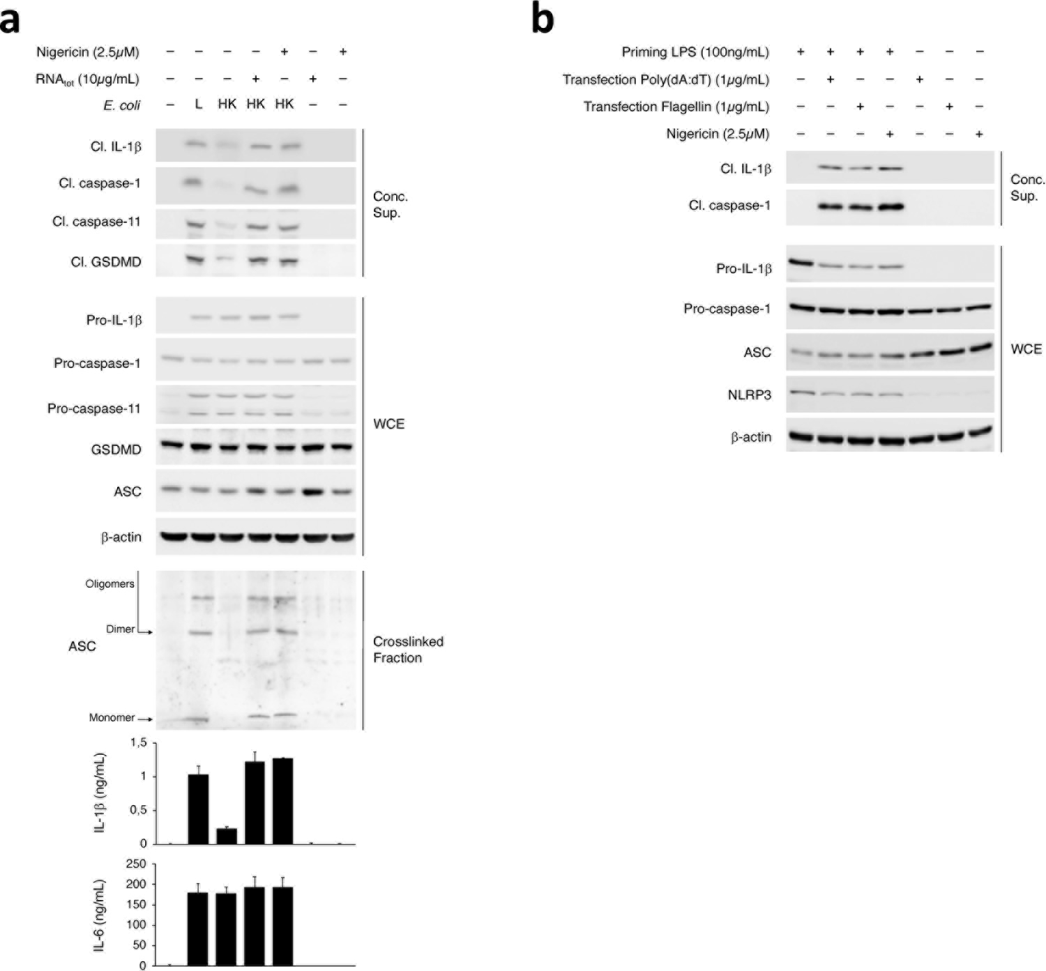 Extended Data Fig. 6