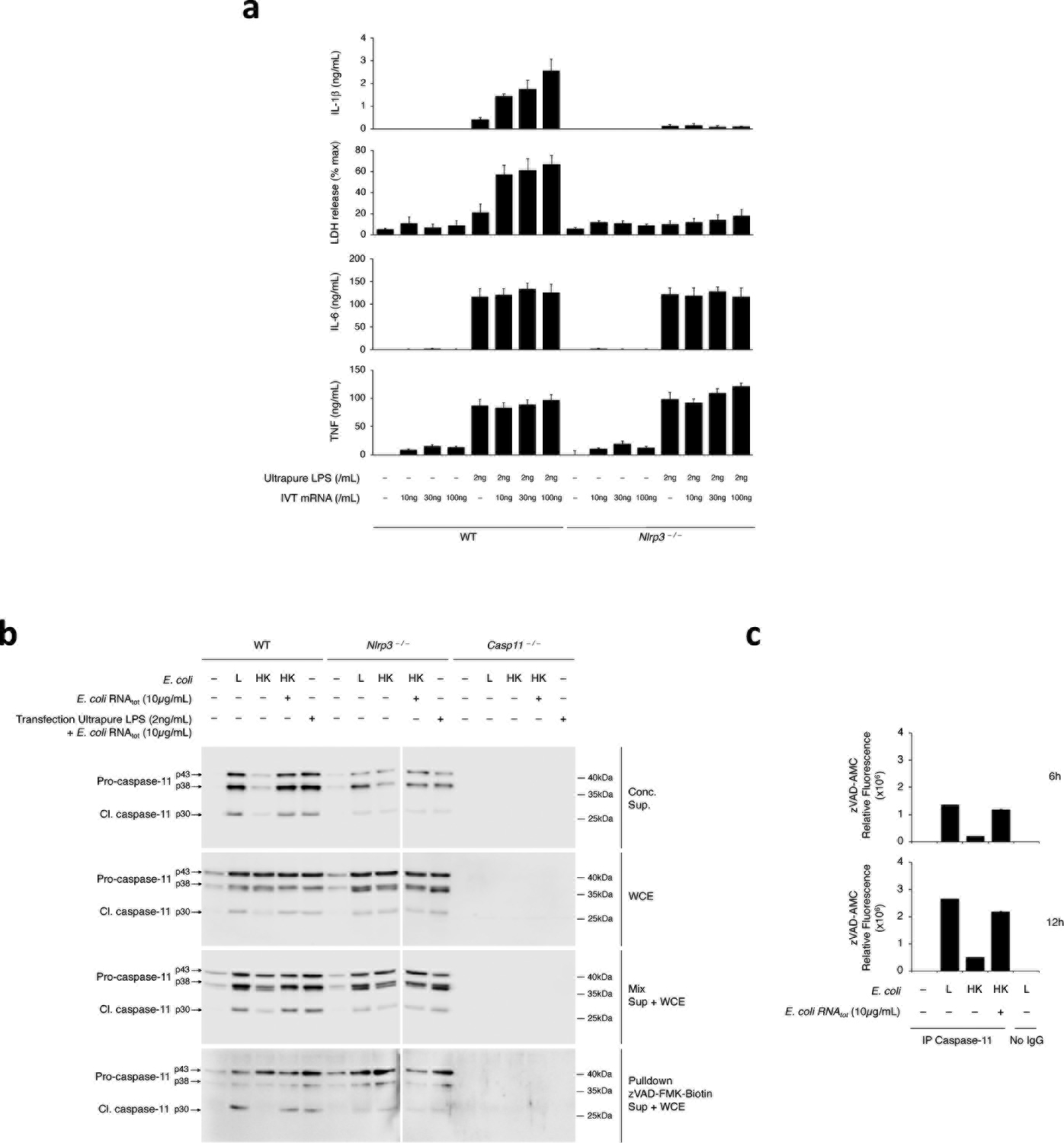 Extended Data Fig. 3