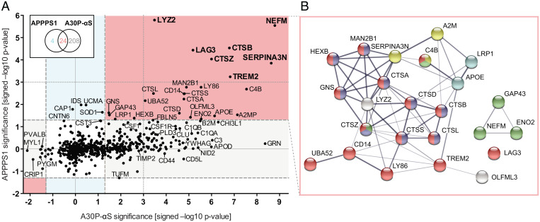 Fig. 4.