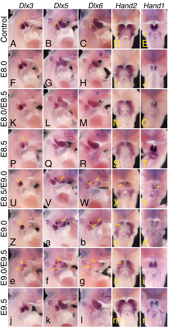 Fig. 9