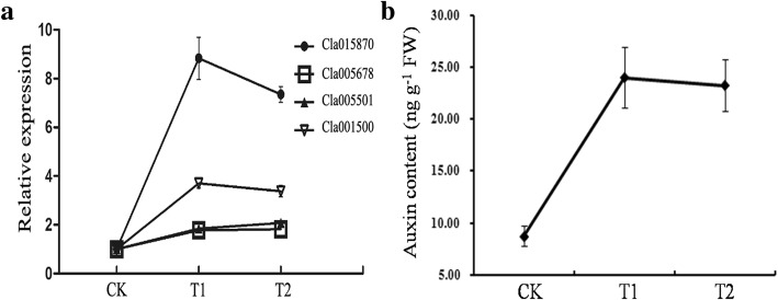 Fig. 11