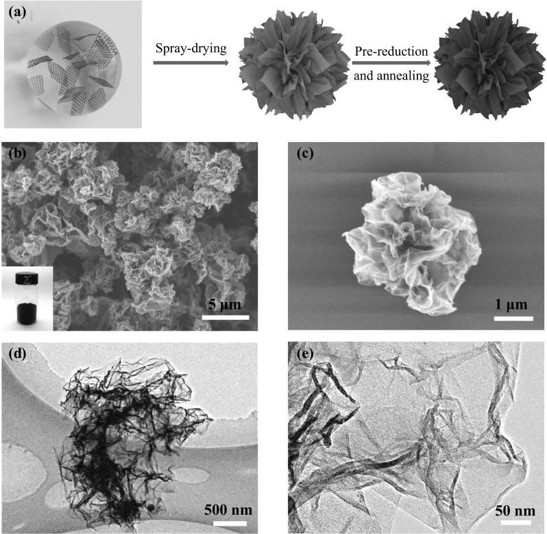 Fig. 1