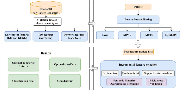 Figure 1