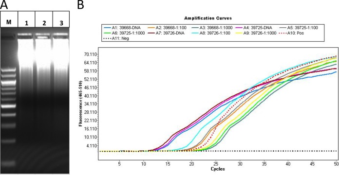 FIG 1