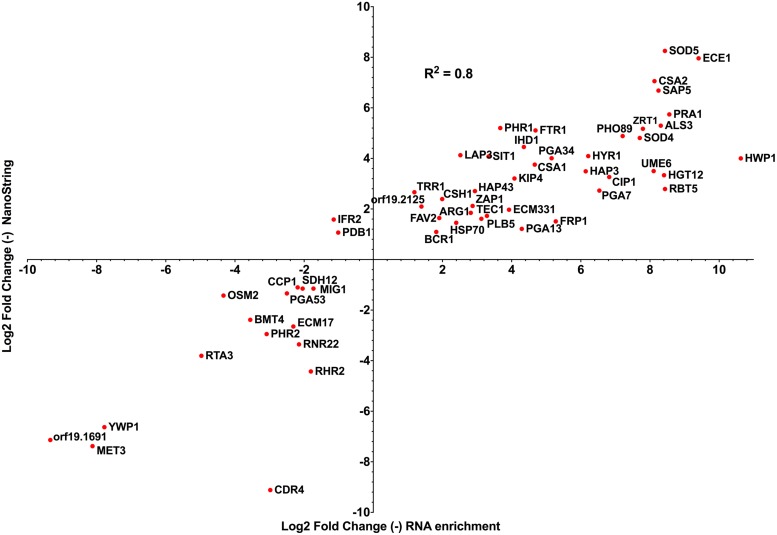 FIGURE 3