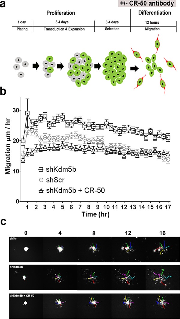 FIGURE 4: