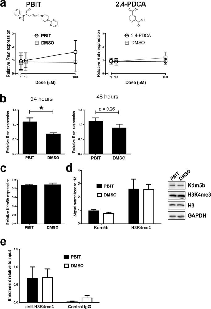 FIGURE 6: