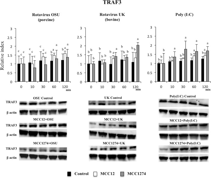 Fig 8