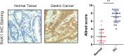 Figure 1—figure supplement 1.