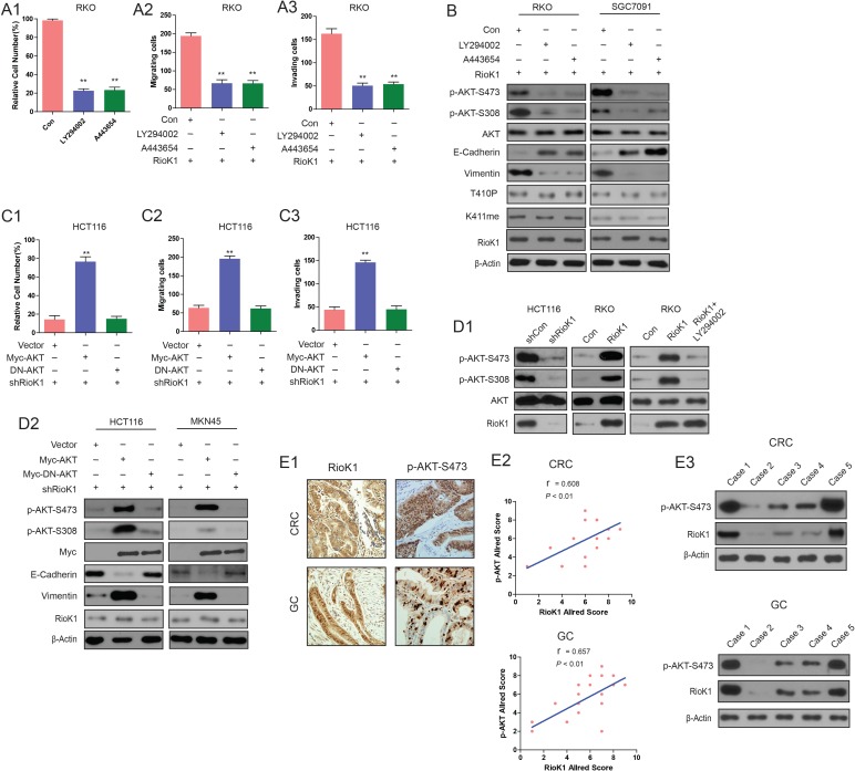 Figure 2—figure supplement 2.