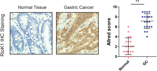 Figure 1—figure supplement 1.