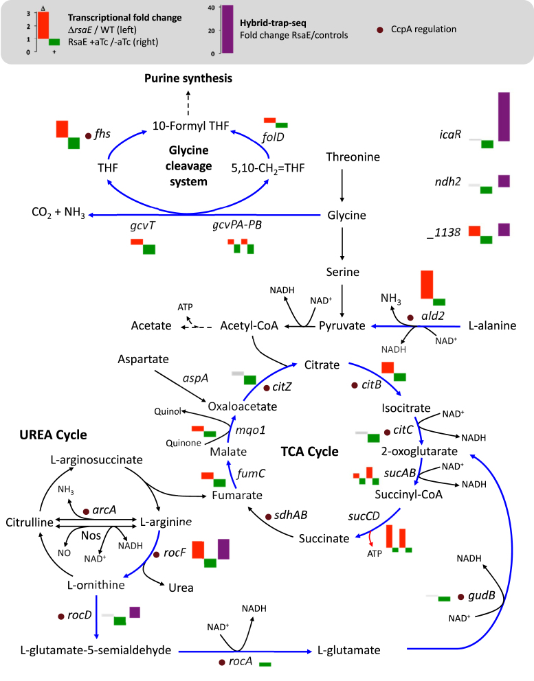 Figure 7.