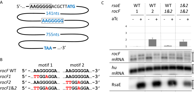 Figure 5.