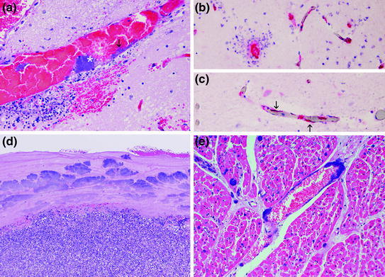 Fig. 7