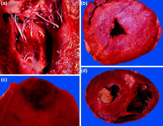 Fig. 6
