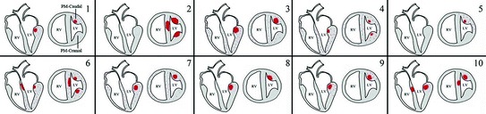 Fig. 5