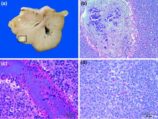 Fig. 8