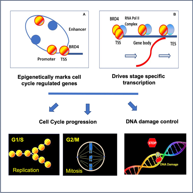 graphic file with name fx1.jpg