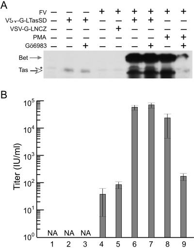 Fig 2.