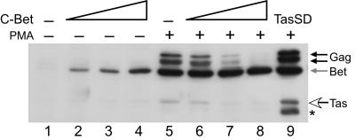 Fig 5.