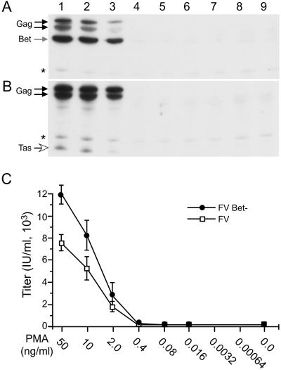 Fig 6.