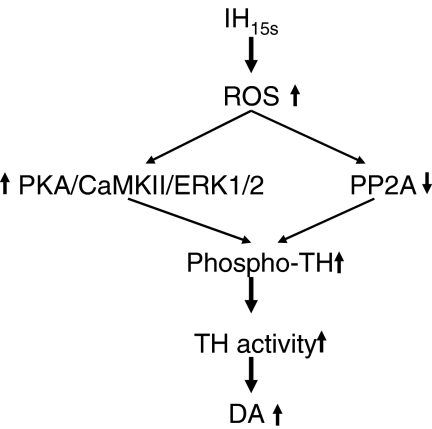 FIG. 8.