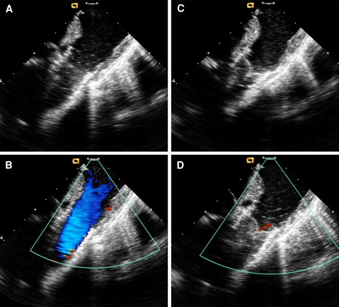 Fig. 4