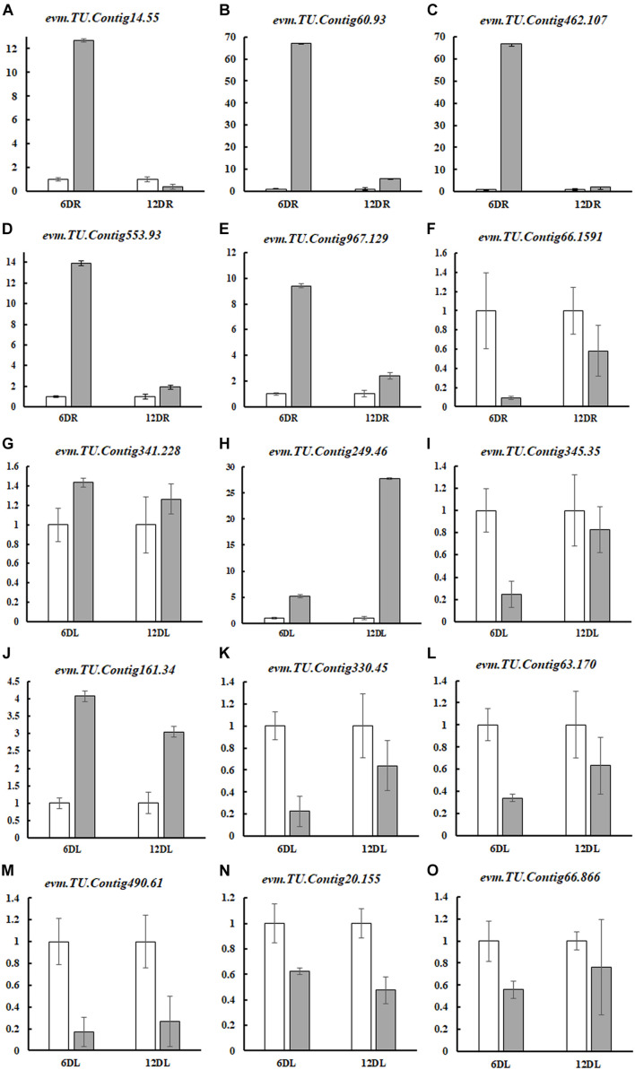 FIGURE 4