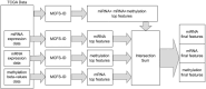 Fig 2.