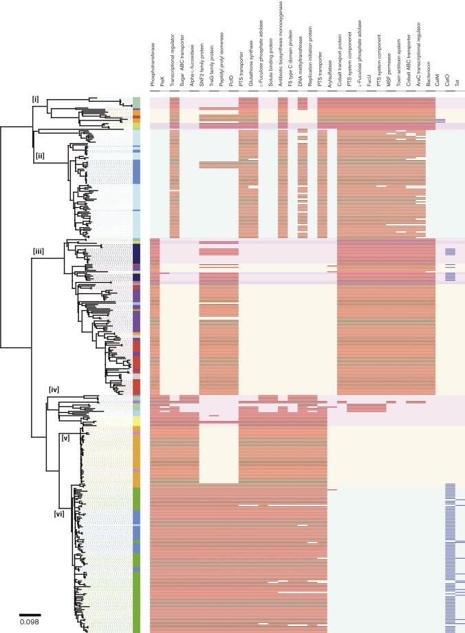 Fig. 7.