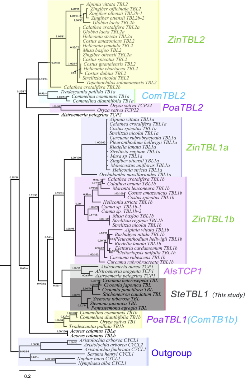 Fig. 3