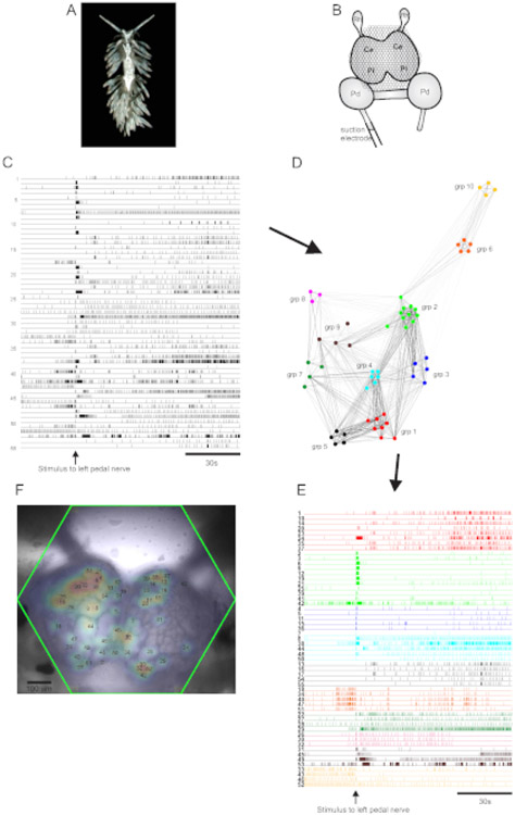 Figure 5: