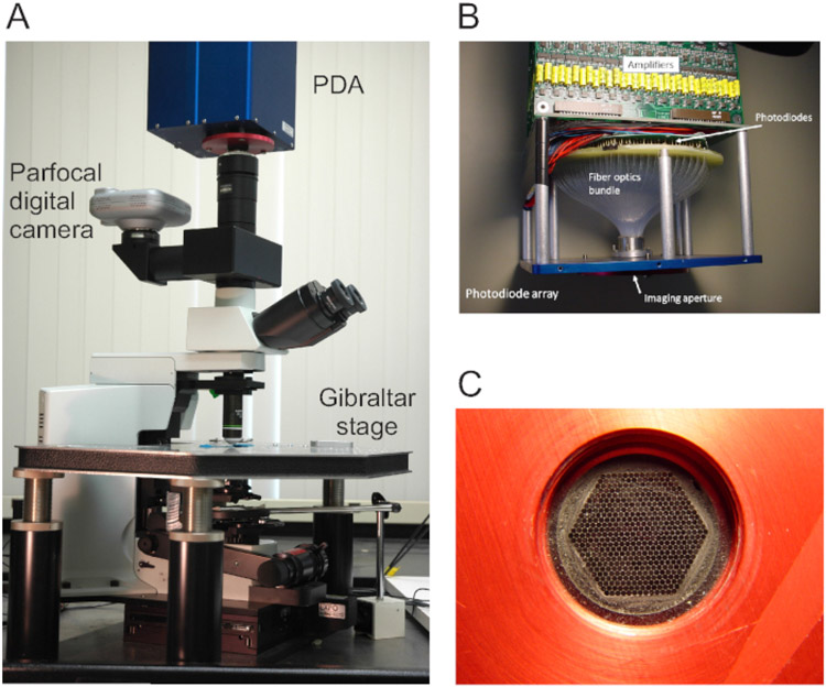 Figure 1: