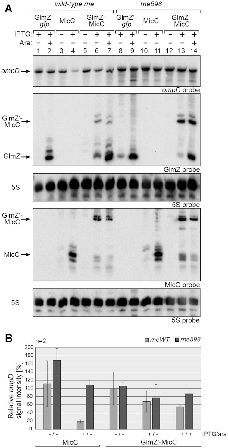 Figure 9.