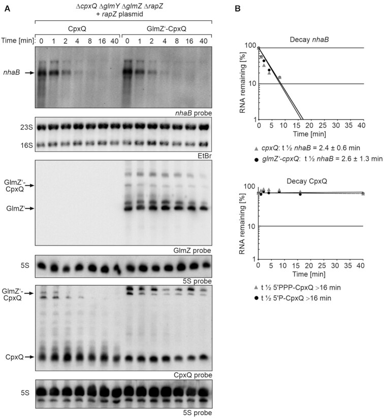 Figure 6.