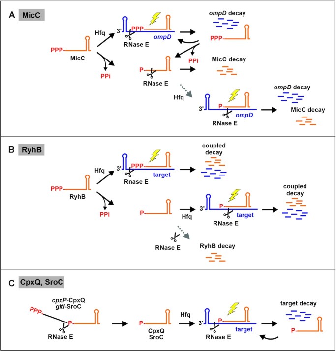 Figure 10.