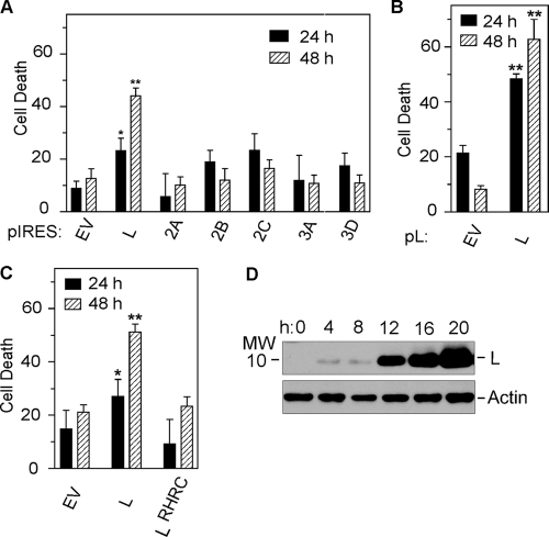 FIG. 4.